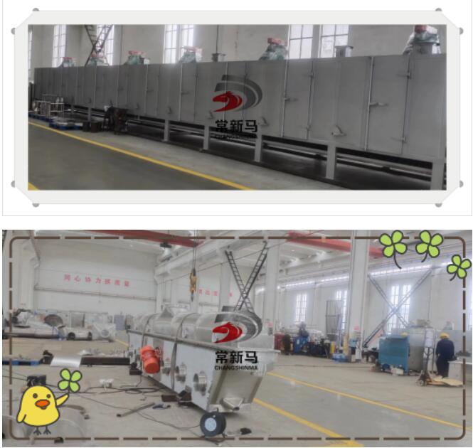 4951677892983913.jpg 新馬4.jpg